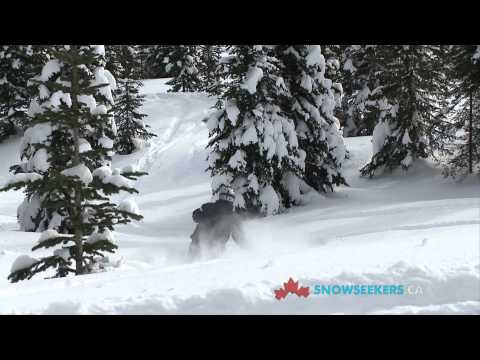 Мини-обзор Powder King