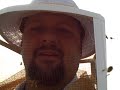 When Killer Bees (Africanized Honey Bees) Attack When Killer Bees (Africanized Honey Bees) Attack