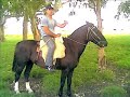 CAZA DEL JABALI GUSTAVO CORREA AIGUA