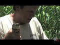 Everglades Python Removal 01
