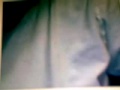 Just My Girlfriend Laurie On Webcam 4
