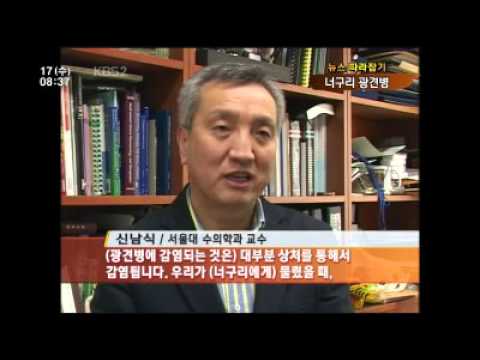 야생의 귀환?…‘너구리 광견병’ 비상!(KBS2)