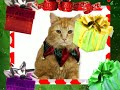 Christmas Cats 2008