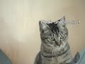 Slimming exercises ???????? Slimming exercises ????????