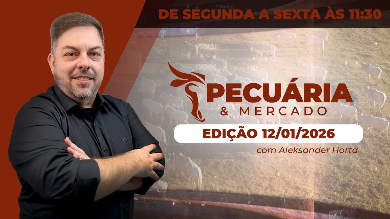 PECUÁRIA E MERCADO - edição 12/01/2026
