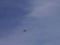 Raptor G2 SE July 1, 2007 Inverted 3D Flying High Res Vid