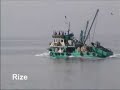 Rize Rize