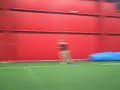 PULSE Dodgeball at Badger