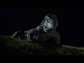 Komodo (1999) Full Movie Komodo (1999) Full Movie