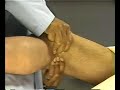 examination of the perephral vascular system 3 examination of the perephral vascular system 3