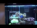 New Fish Trap