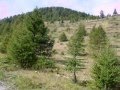 videos de Cotolivier in MTB - 18-9-8.