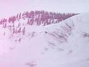 Powder run 4th of april