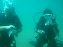 diving fun