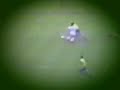 el magico gonzalez