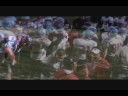 Ralston vs. Gross - Ralston Highlights
