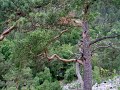 duo pro housle a klav�r a dur - z domoviny
jitka nov�kov� - housle
foto: jabkenice - ?e?kova pila - ?ertova st?na