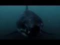 Funny Movies - John West Commercial