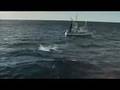 JOHN WEST TUNA TO GO AD SHARK VS FISHERMAN