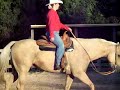 Here is me and Slick performing the walk and jog.