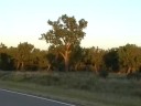 Walk For Liberty Day 97 - Is Montana a Free State? (part 2)