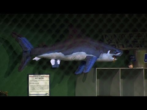 Video: Broadcast on Pirates' shark tank