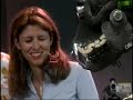 Animal Face-Off: Gorilla vs. Leopard