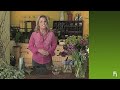 Flower arranging: How to arrange flowers like a pro