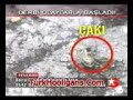 �ar?? feneri kovalarken