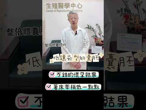 鑲嵌行胚胎