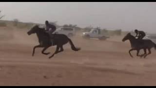 Звуковая волна: премьера клипа M.I.A. "Poc That Still"