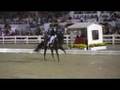 Muscial Freestyle | Dressage at Devon '08 | DressageStar.com