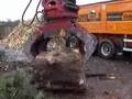 DOPPSTADT DW 3060 Buffalo