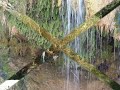 El Chifl�n, misterio del desierto.