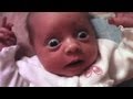 Confounding Baby with Sounds