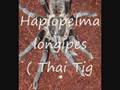 Rhode island Invertebrate Rescue Collection Updated