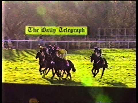 cheltenham gold cup