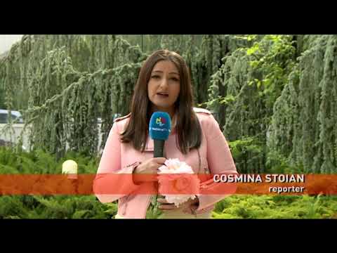 15 mai, Ziua Bujorului