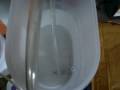 videos de Fermentation Sneaky Creeper II