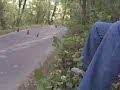VID 00003