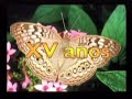 Filmaciones el Ganadero