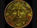 Terence Mckenna: Amazonian shamanism p21