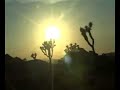 .At This Moment. Harold Budd, Clive Wright .At This Moment. Harold Budd, Clive Wright