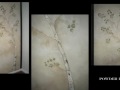 The Nature of Things - Tree Collections