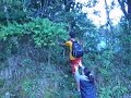 Ladr�o de goiaba!