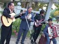 Este conjunto se formo hace cinco años y el nombre del tata es Don Carlos Miranda el cual homenajen cada vez que se presentan