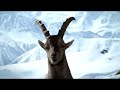 Capricorn Remix - Vergiss as!