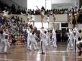 videos de Tigres Mixto UANL