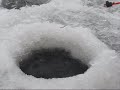 Блеснение окуня. Первый лёд.