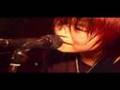自鳴琴 Orgel - Splash